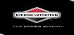 Briggs & Stratton motoare generatoare reparatii filtru aer Ing Trust Focsani utilaje scule service motosape masini de tuns iarba